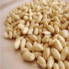 Peeled Peanut Kernel, White Peanut Kernel, Peanut Kernel Without Red Skin